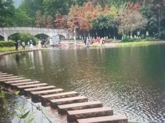 -重庆彩云湖湿地公园