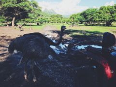-卡塞拉自然公园