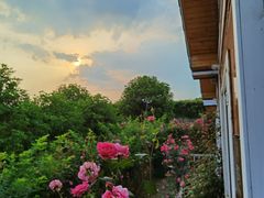 -武汉紫薇都市田园