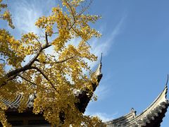 -龙华素斋(龙华路店)