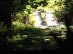 -时代华纳国际影城(鹏晖广场店)