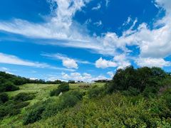 -白草畔自然风景区