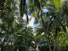 -三亚湾海居铂尔曼度假酒店