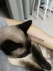 -飛凡TATTOO纹身•原创