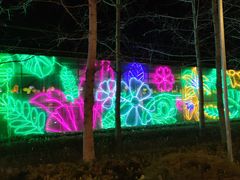 -南宫五洲植物乐园