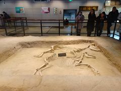 -洛阳周王城天子驾六博物馆