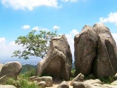 -阳台山森林公园