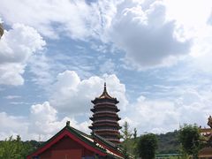-金城公园