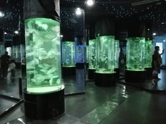 -长春农业博览园