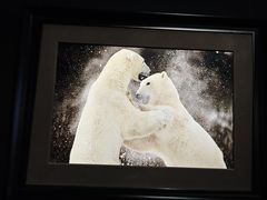 -罗红摄影艺术馆