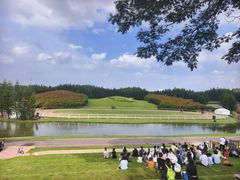 -迪茵湖田家舍生态农场