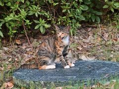 -昆山城市生态森林公园
