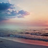 -薇兰专业脱毛连锁机构