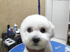 -佳雯宠物医院·皮肤科·内外科(春晓路分院)