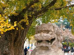 -北京石刻艺术博物馆(五塔寺)