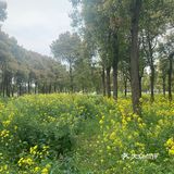 阳澄湖西南村