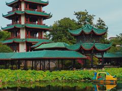 -桂湖森林公园