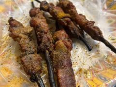 -艾力江和田馕坑烤肉店