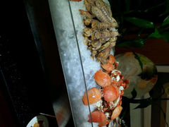 android_upload_pic-重庆解放碑帝晶酒店·姜厨房西餐厅
