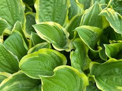 -云峰山自然风景区