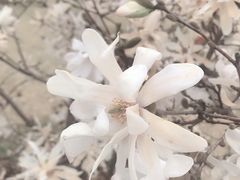 -呷哺呷哺(松江开元店)