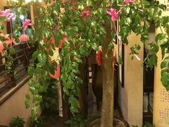-莱仪堂艾灸经络养生馆(武威东路店)
