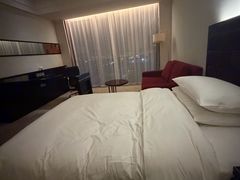 -上海浦东国际旅游度假区绿地铂骊酒店