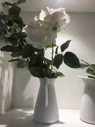 点击看大图 -丽雅朵云皮肤管理中心