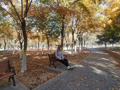 -大兴滨河森林公园