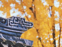 -虞山风景区