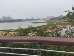 -立新湖公园