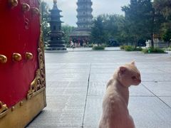 -哈尔滨极乐寺