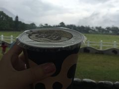 -瑞穗牧场