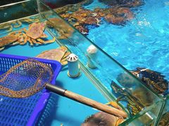 -宝燕海鲜(好爱店)