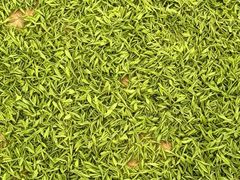 -欣怡茶庄·始于1999(梅家坞店)