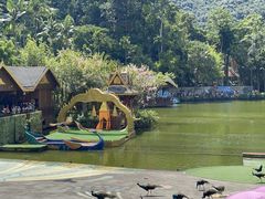 -西双版纳原始森林公园