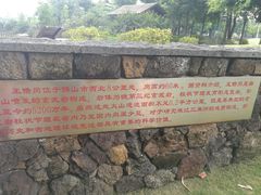 -王借岗森林公园