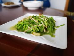 -领鲜土菜馆