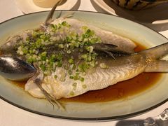 -禧宴Joyous Restaurant(禧园店)
