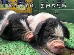 -湖南湘都生态农业园