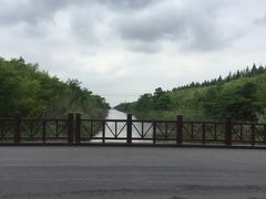 -黄海国家森林公园