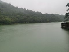 -广州白江湖森林公园