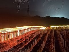 -北京张裕爱斐堡酒庄