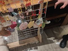 -久宴·天目湖大鱼头(恐龙园店)