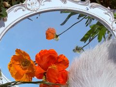 -名花谷生态庄园