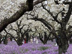 -江苏三台山国家森林公园
