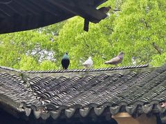 -无锡梅园公园