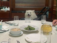 -蝶园·装修中(BFC外滩金融中心店)