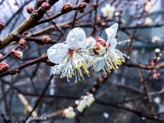 -东天目山风景区