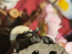 -诗宇时光茶艺书法古琴培训